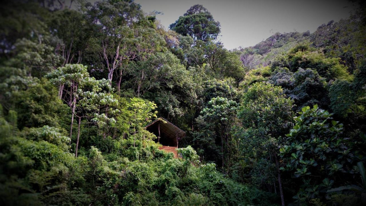 Chalet In The Jungle Pallegama Extérieur photo