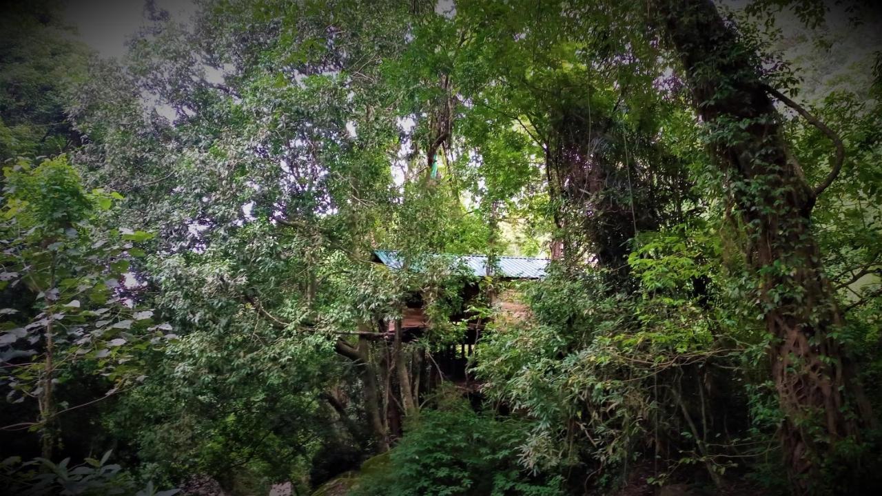 Chalet In The Jungle Pallegama Extérieur photo