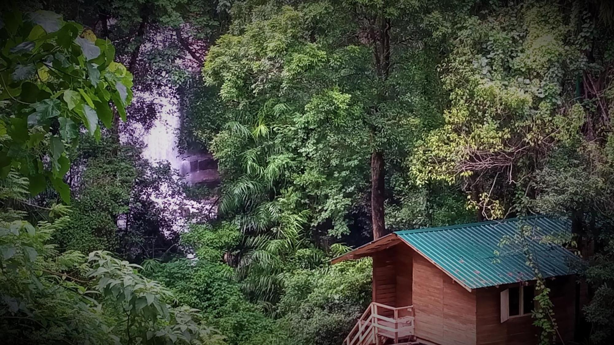Chalet In The Jungle Pallegama Extérieur photo