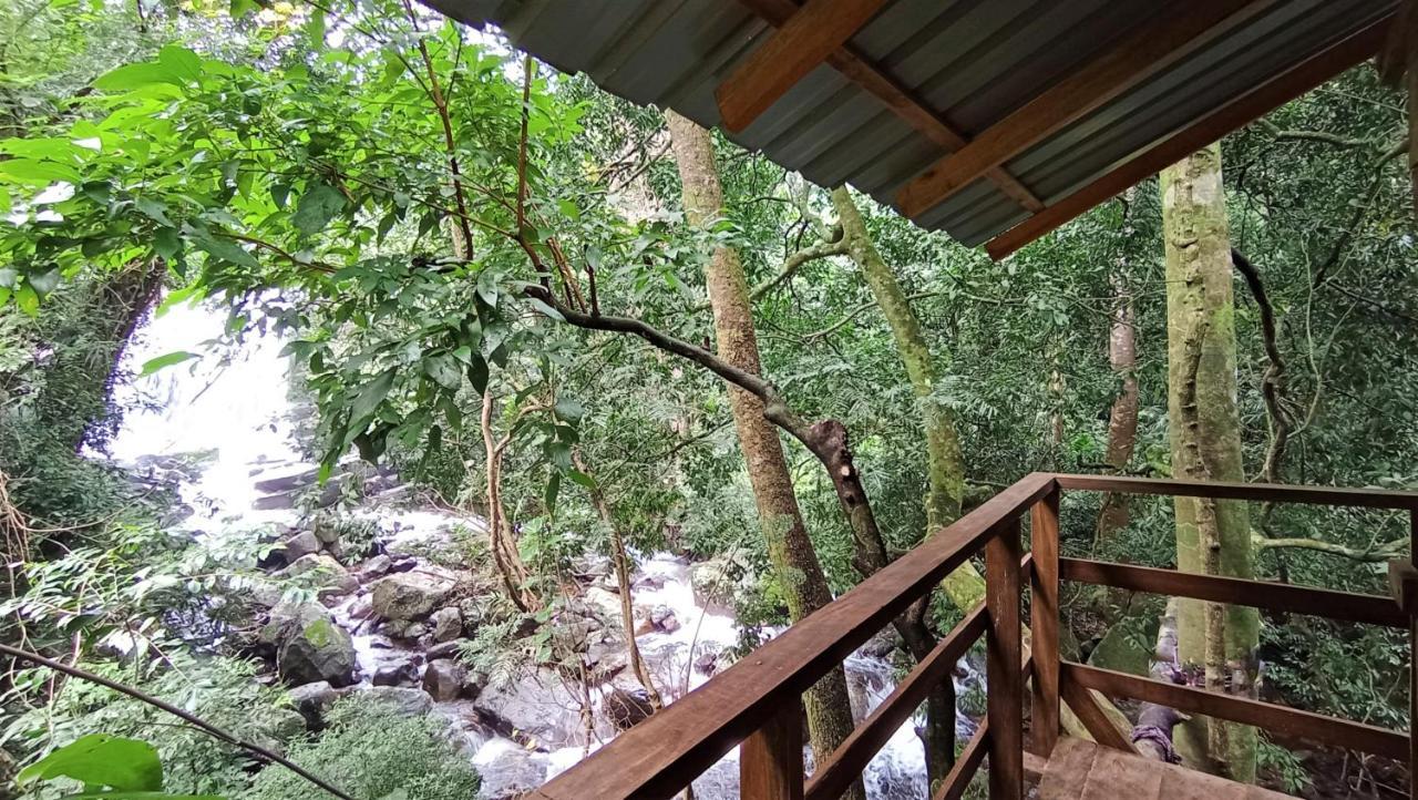 Chalet In The Jungle Pallegama Extérieur photo