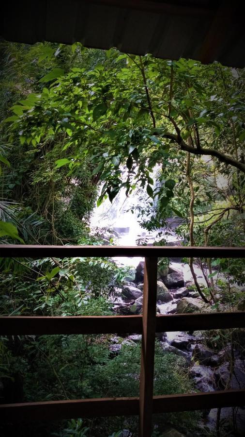 Chalet In The Jungle Pallegama Extérieur photo