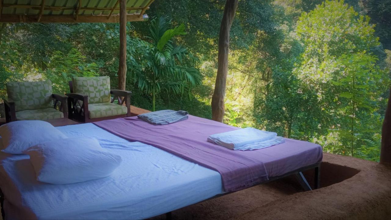 Chalet In The Jungle Pallegama Extérieur photo